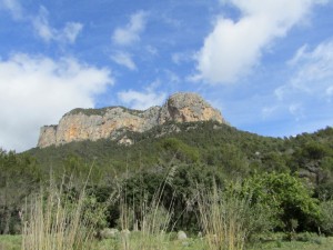 IMG_4584 (Medium)